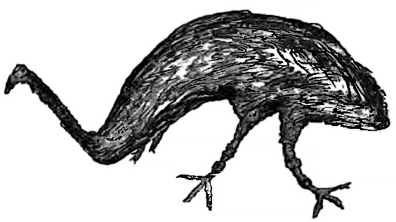 Printed drawing of Toor-roo-dun with a small head, long curved neck, bulky body and two bird-like legs